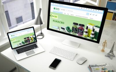 How Much Does a Small Business Website Cost?